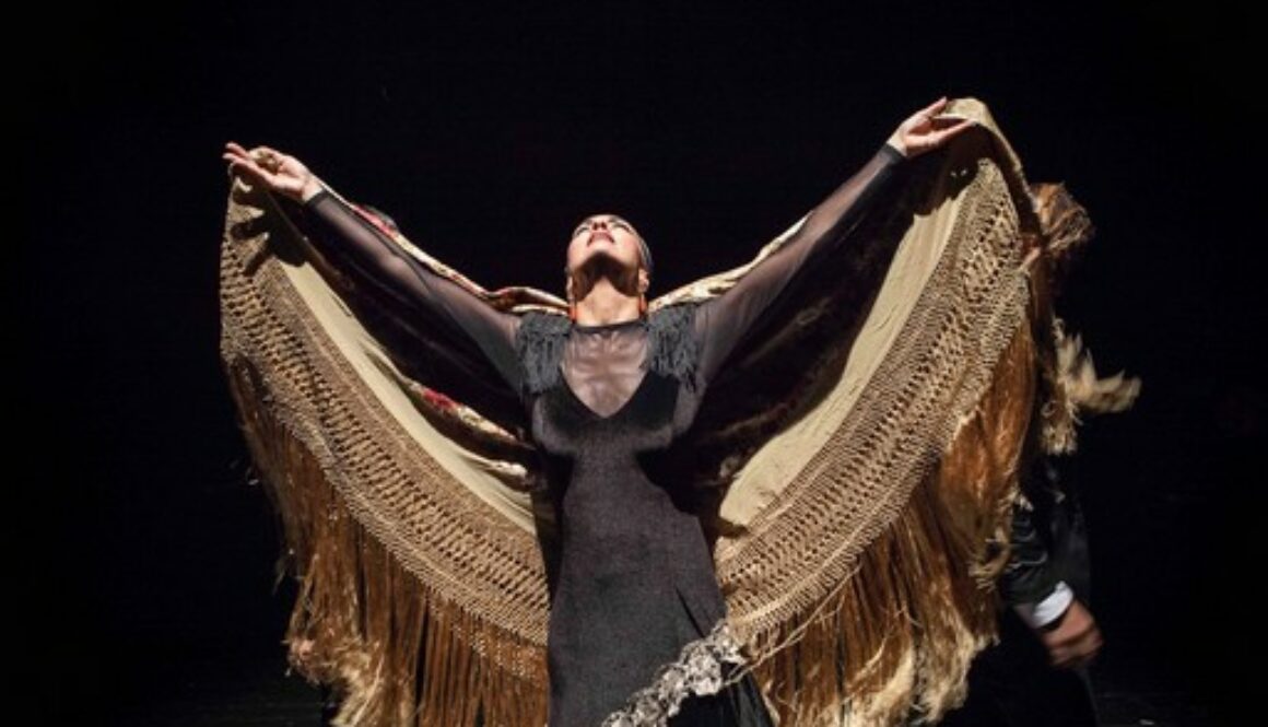 Antonio Andrade Flamenco Show klein