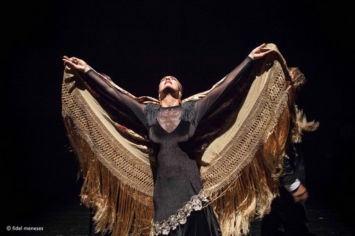 Antonio Andrade Flamenco Show klein