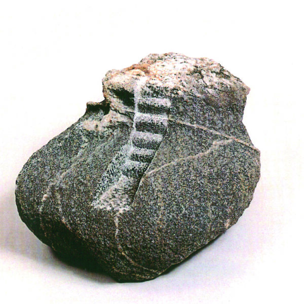 ein-stueck-des-weges-seite-71