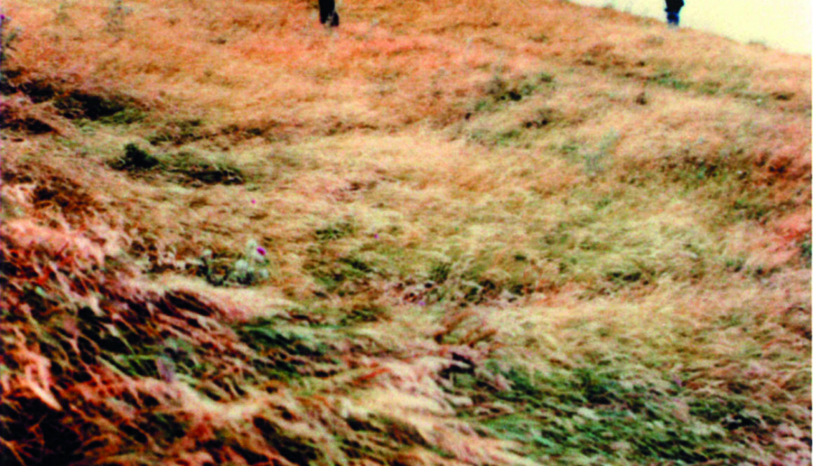 les-faux-temoins-1988