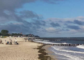 malschueler-an-der-herbstlichen-ostsee-c-frank-koebsch-1.jpg
